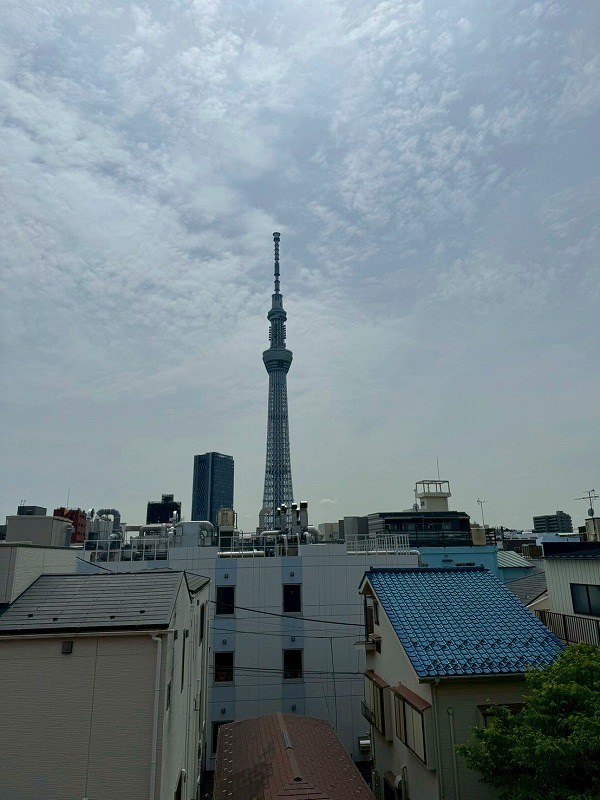 ニューキャピタル押上 眺望写真