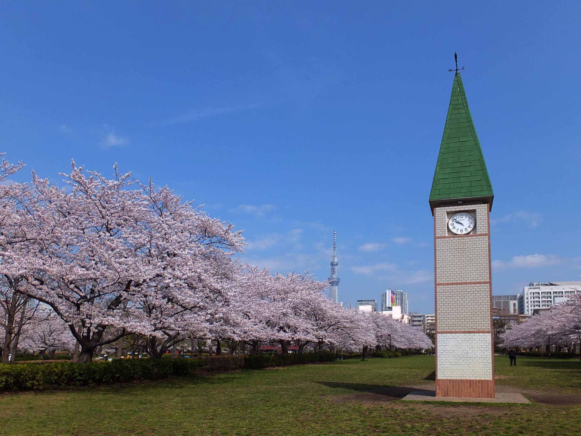 アリアシティ 公園