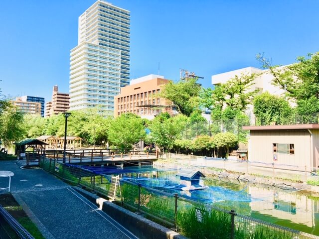 デュオシティ木場公園 公園