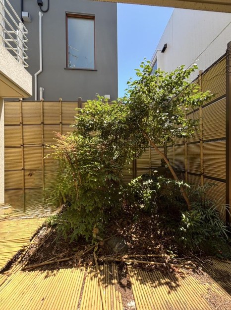 大田区中馬込１丁目 中古戸建 全1棟 現地写真（庭）
