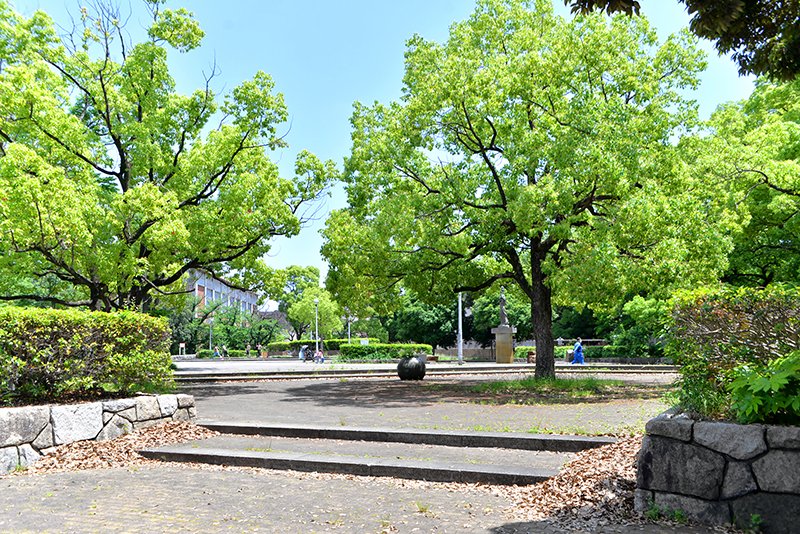 川崎市中原区市ノ坪　中古戸建　全1棟 公園