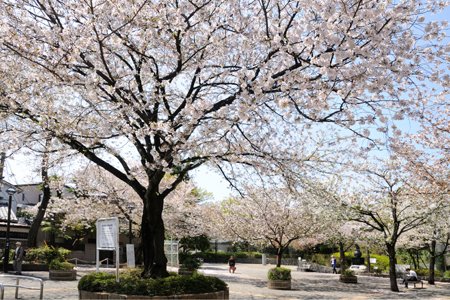 豊島区上池袋２丁目　中古戸建　全1棟　 公園