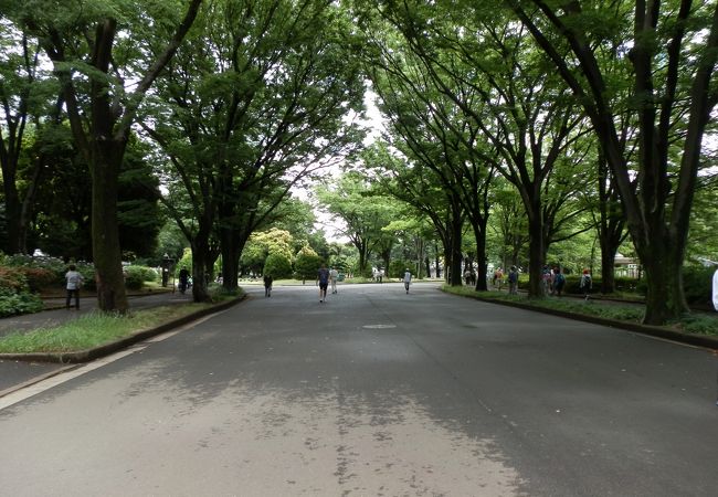 ヴィルヌーブタワー駒沢 公園