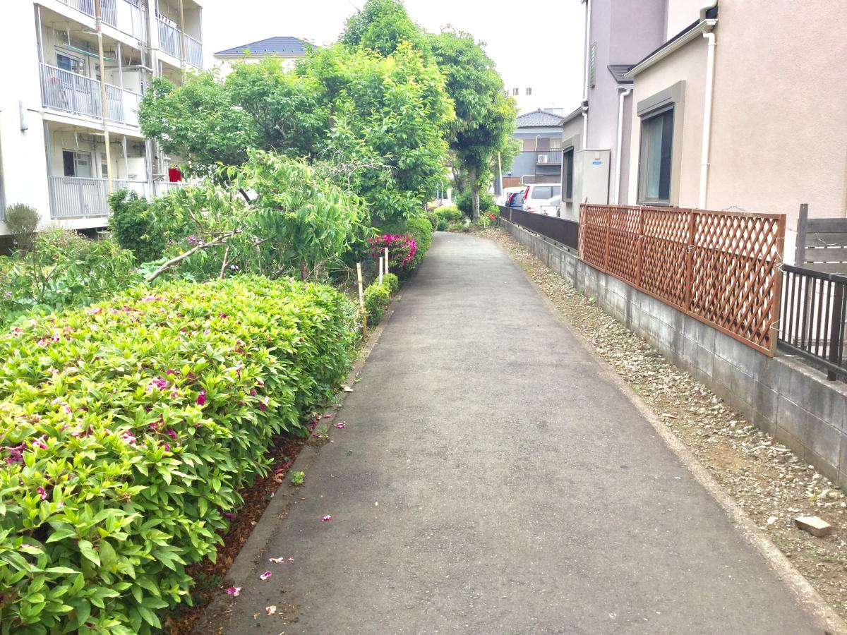 横浜市港北区下田町６丁目　新築戸建　全1棟 公園