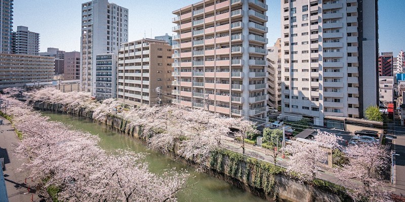 マンション雅叙苑５号館 眺望写真