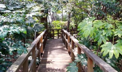 文京区千石４丁目　売地　限定1区画 公園