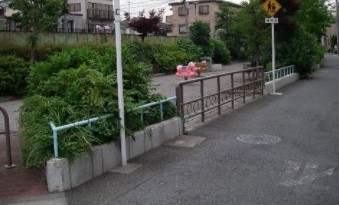 大田区新蒲田３丁目　新築戸建　A号棟 公園