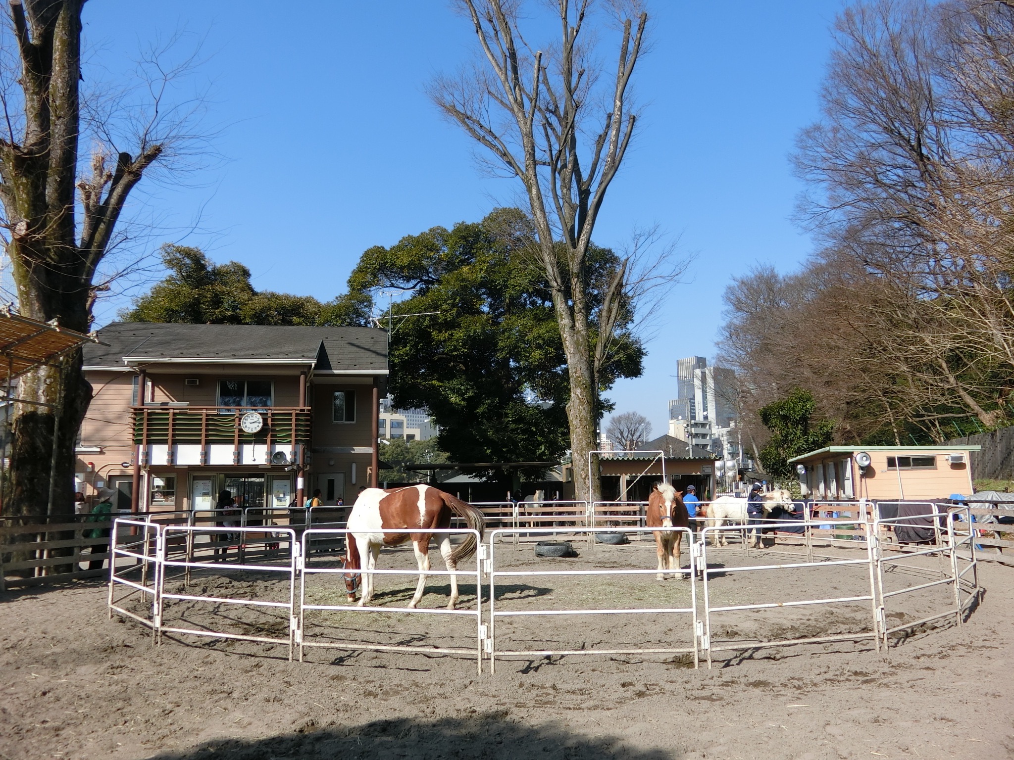 代々木ハイライズ 公園