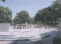 東急ドエルアルス新川崎 公園
