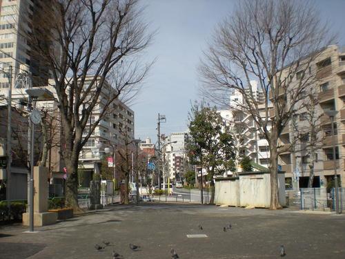 豊島区上池袋１丁目　中古戸建　限定1棟 公園