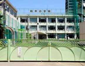キャッスルマンション西新宿 小学校