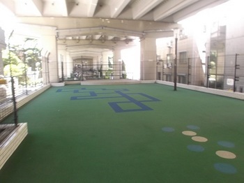 文京区音羽１丁目　中古戸建　限定1棟 公園