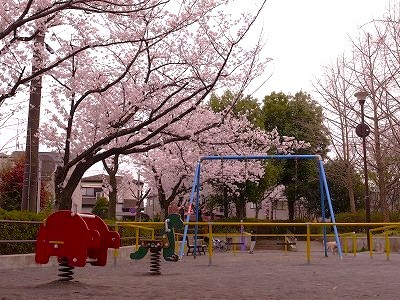 ミオカステーロ青葉台 その他