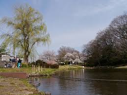 ミオカステーロ青葉台 公園
