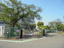 ミオカステーロ青葉台 小学校