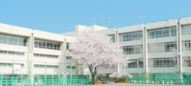 クレヴィア山吹神楽坂 小学校