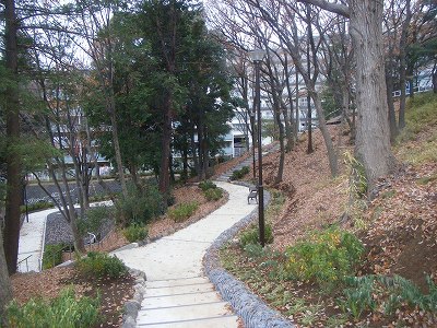 藤が丘ハウス 公園