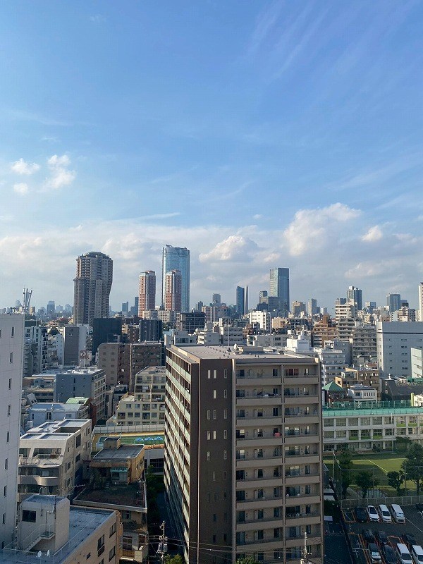 パークホームズ南麻布ザレジデンス  眺望写真