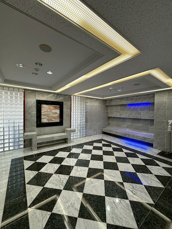 ガラ・グランディ西新宿 共用部写真（エントランス）