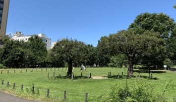 中目黒ハイツ 公園