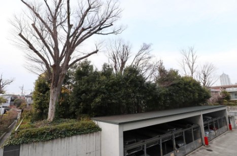ザ・パークハウス　二子玉川ガーデン 共用部写真（駐車場）