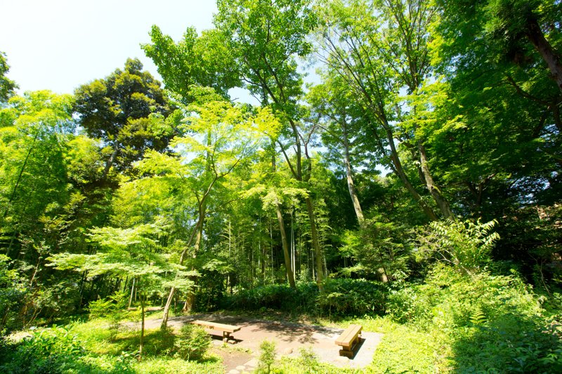 ザ・パークハウス　二子玉川ガーデン 公園