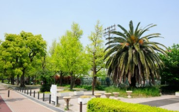 川崎市川崎区藤崎２丁目　売地　全1区画 公園
