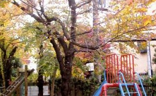 アデッソ新宿若松町 幼稚園