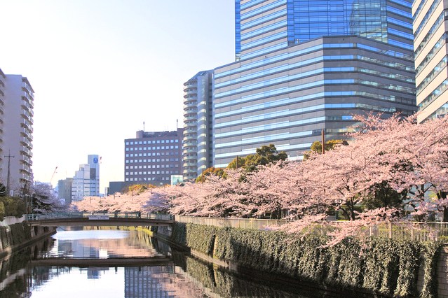 フリーディオ大崎 その他