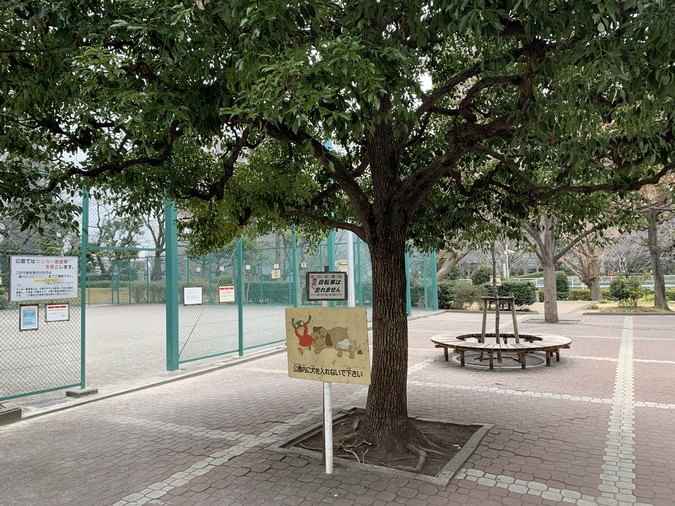 フリーディオ大崎 公園