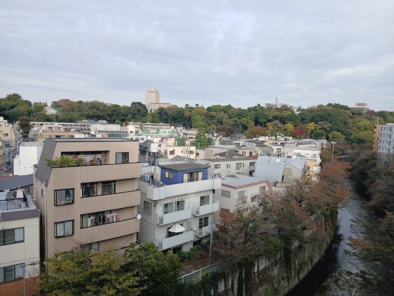 フォレステージ西早稲田 眺望写真