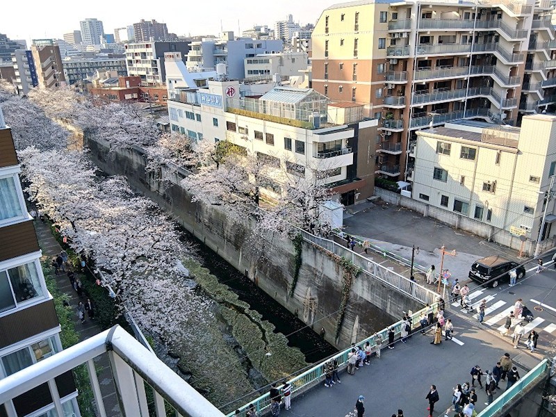 フォレステージ西早稲田 眺望写真