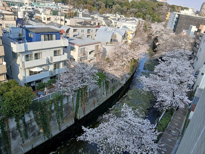 フォレステージ西早稲田 眺望写真