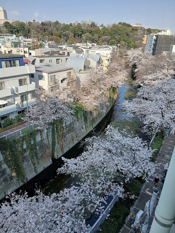 フォレステージ西早稲田 眺望写真