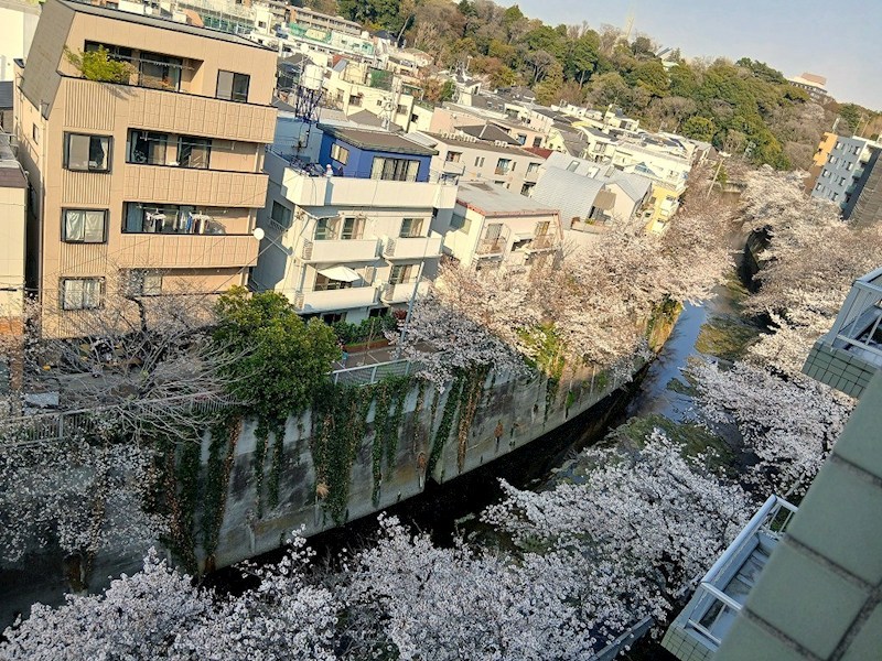フォレステージ西早稲田 眺望写真