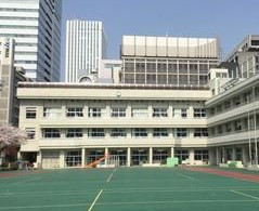 トーア新富マンション 小学校