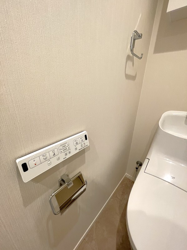 ハイライフ大崎 内観写真（トイレ）