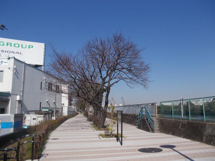 大田区大森南４丁目　新築戸建　B号棟  公園
