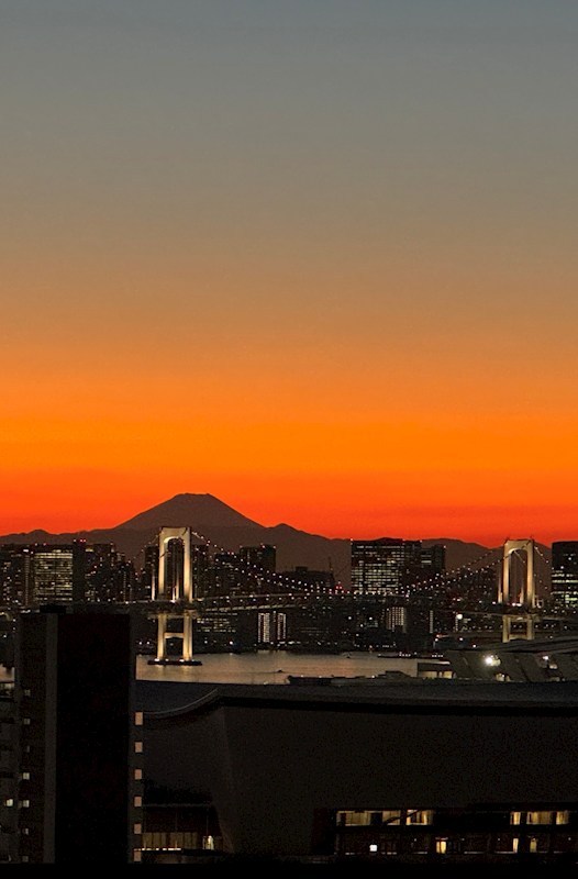 パークタワー東雲 眺望写真