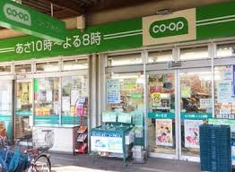 ライオンズガーデンテラス千歳烏山 スーパー