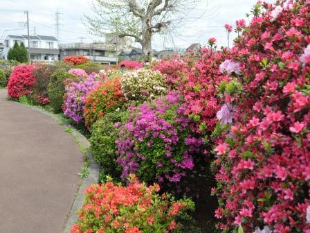 ライオンズガーデンテラス千歳烏山 公園