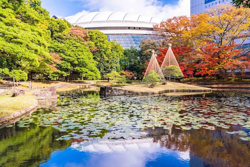 エニス小石川 その他
