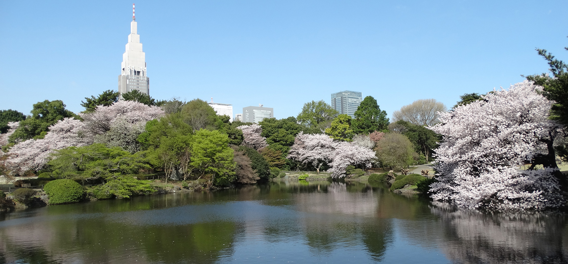 藤和新宿御苑コープ 公園