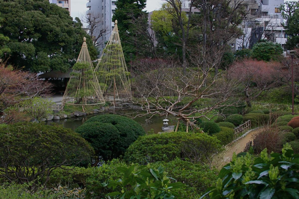 ライオンズマンション西早稲田 公園