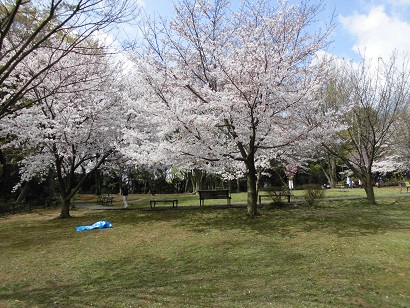 カサベルダ 公園