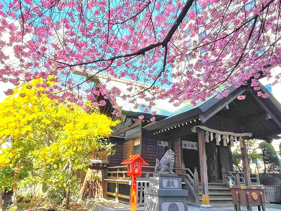 ライオンズシティ蔵前 その他