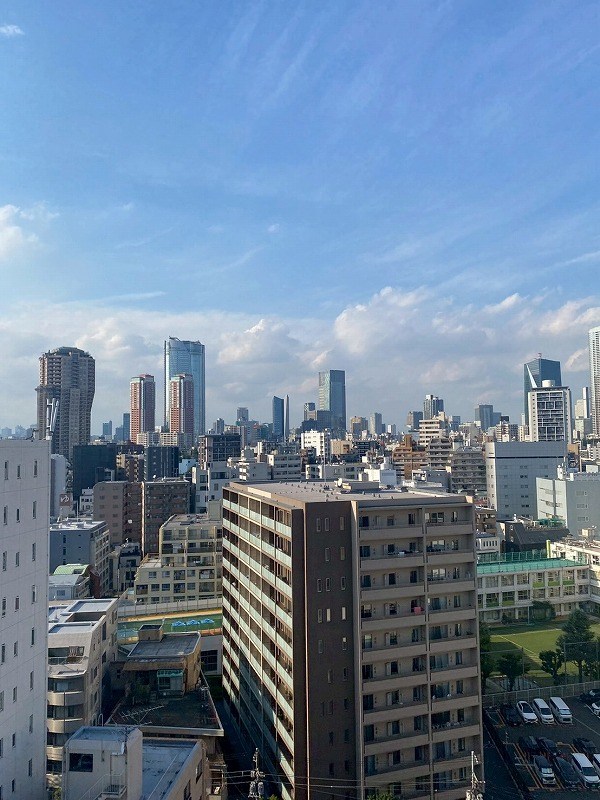 パークホームズ南麻布ザレジデンス  眺望写真