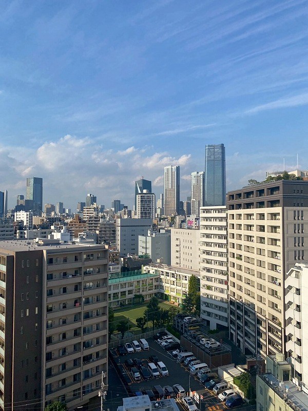 パークホームズ南麻布ザレジデンス  眺望写真