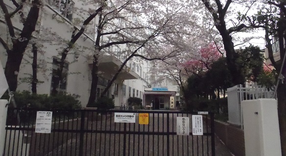 プレジデントハイツ根津 小学校
