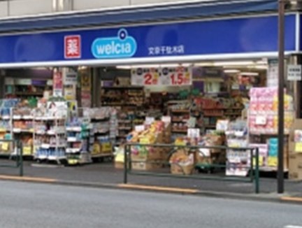 プレステージ千駄木 ドラッグストア